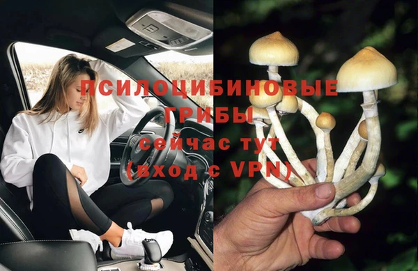МДПВ Киренск