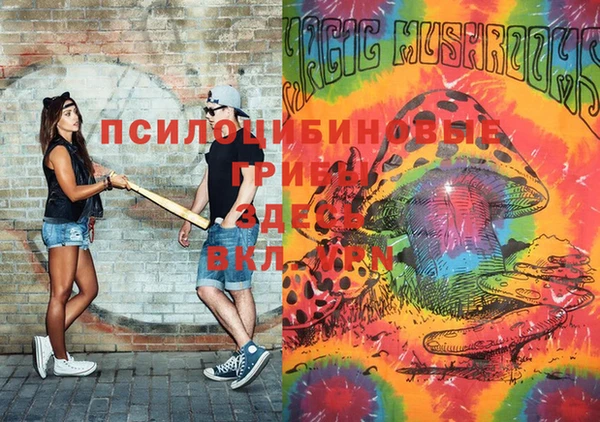 МДПВ Киренск