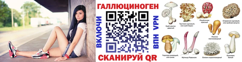 Купить где  Новокубанск  Галлюциногенные грибы Psilocybe 